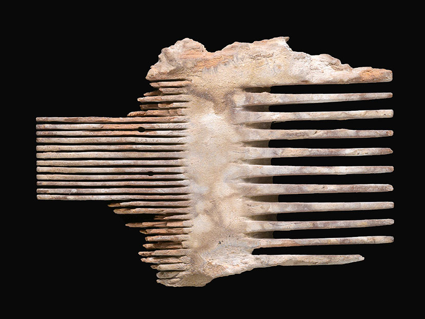 מסרק כינים קדום בן כ-2,000 שנה שנחשף במבצע. צילום: קלרה עמית, רשות העתיקות