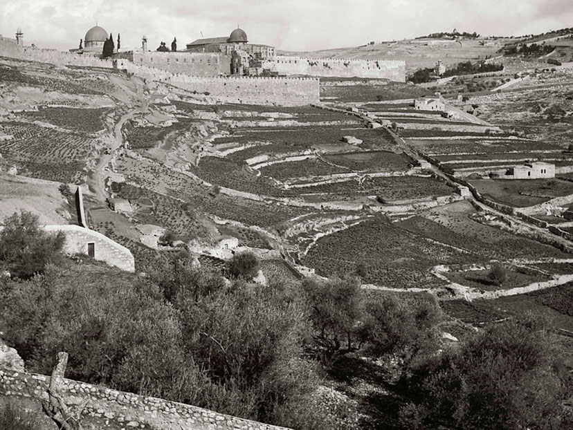 עיר דוד בתחילת המאה ה-20